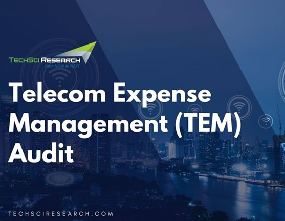 Telecom Expense Management (TEM) Audit